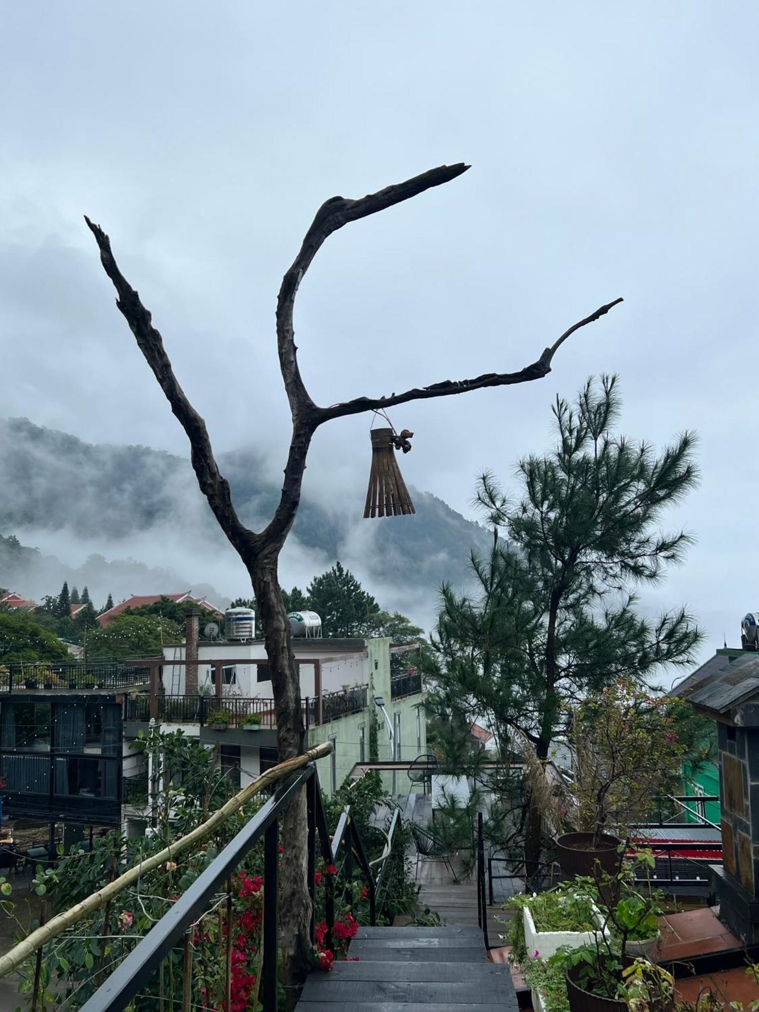 Bach Xanh House. Triangle Bungalow Tam Dao Exterior photo